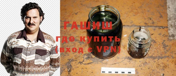 мет Алексин