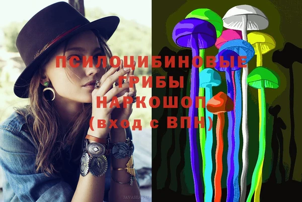 мет Алексин