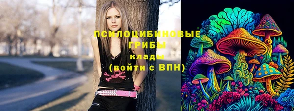 герыч Алзамай