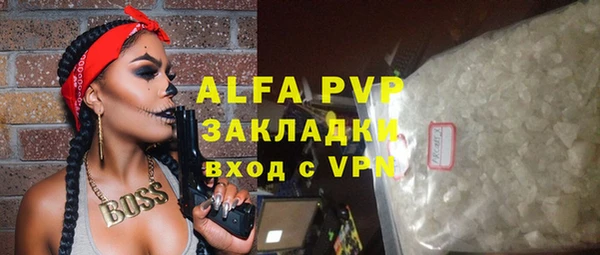 мет Алексин